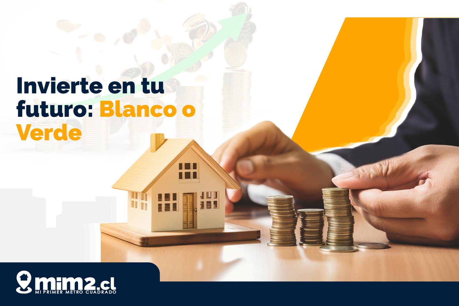 Invierte en tu futuro: Blanco o Verde