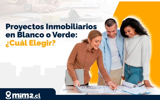 Proyectos Inmobiliarios en Blanco o Verde: ¿Cuál Elegir?